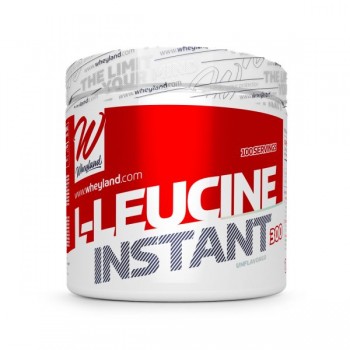 Wheyland L-Leucine 300 gramos